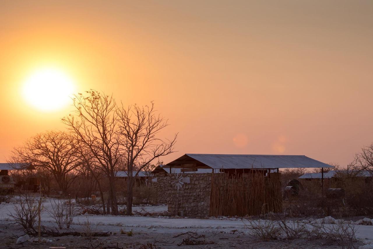 Etosha Trading Post Campsite Okaukuejo Exterior photo